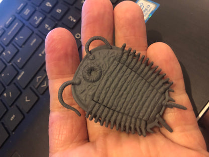 Dino Horizons Trilobite prehistoric animal dinosaur PVC Mini Figure Figurine Model