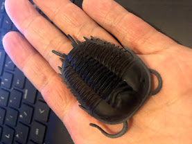Dino Horizons Trilobite prehistoric animal dinosaur PVC Mini Figure Figurine Model