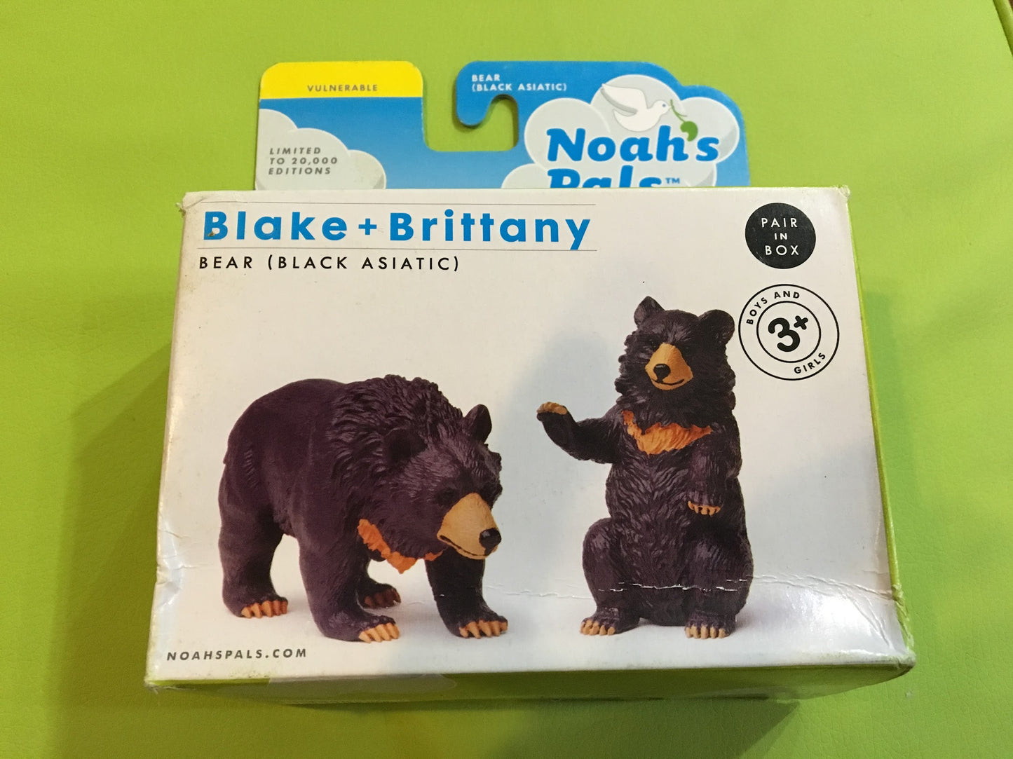 NOAH'S PALS Blake+Brittany BEAR (BLACK ASIATIC) Animal PVC figurine figure Model pair in box