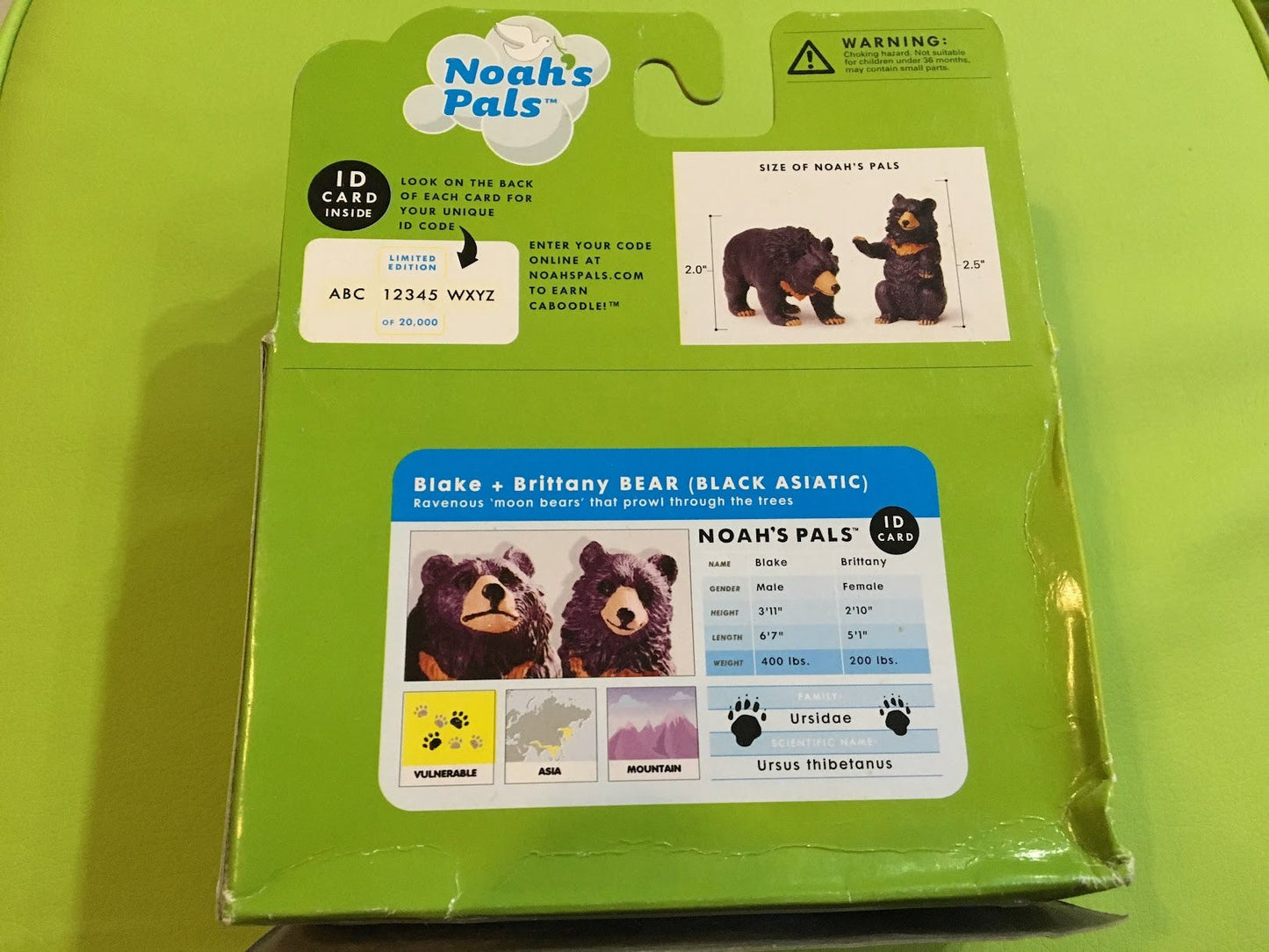 NOAH'S PALS Blake+Brittany BEAR (BLACK ASIATIC) Animal PVC figurine figure Model pair in box