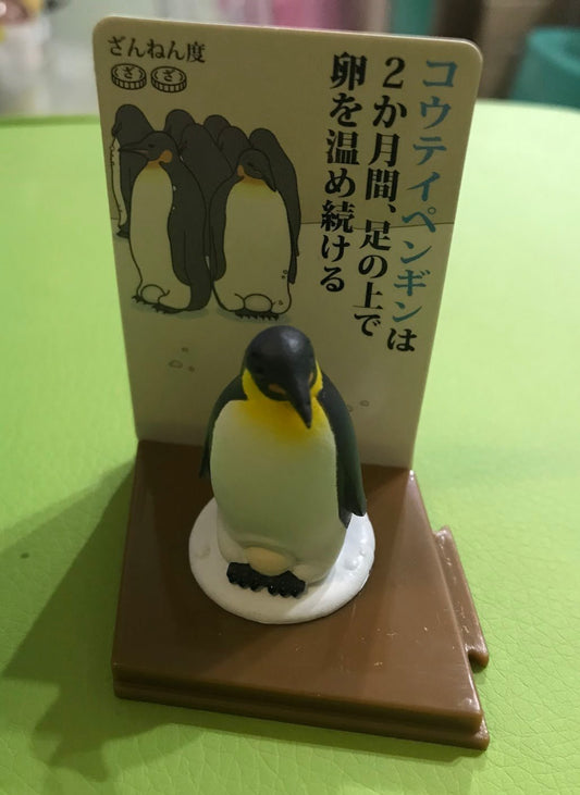 Japan Emperor penguin bird PVC mini Figure model with base