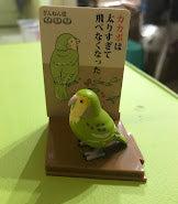 Japan Kākāpō owl parrot bird PVC mini Figure model with base