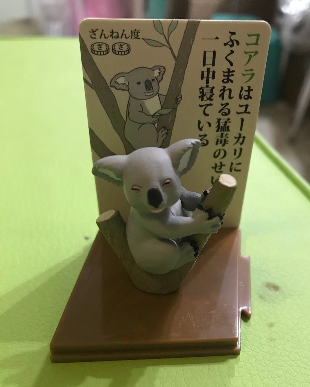 Japan koala bear animal PVC mini Figure model with base