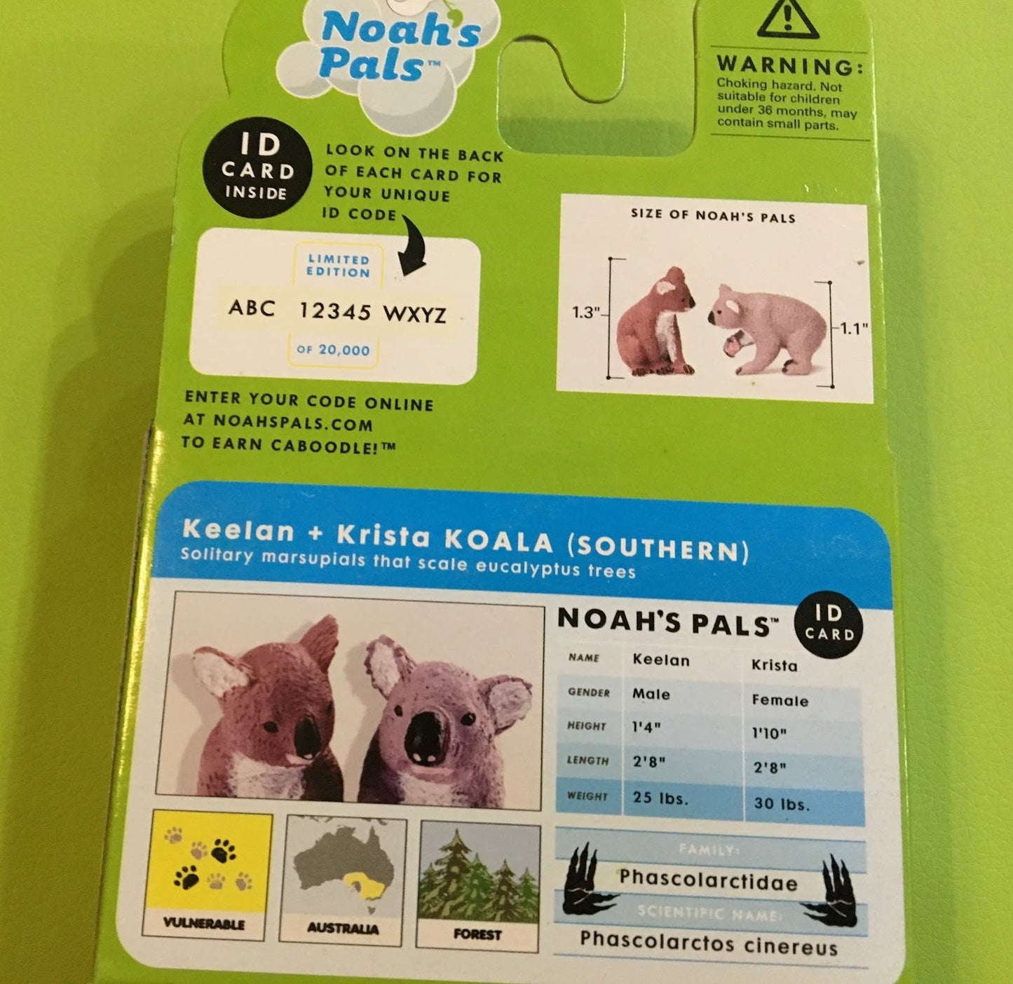 NOAH'S PALS KOALA (SOUTHERN) Animal PVC figurine figure Model pair in box