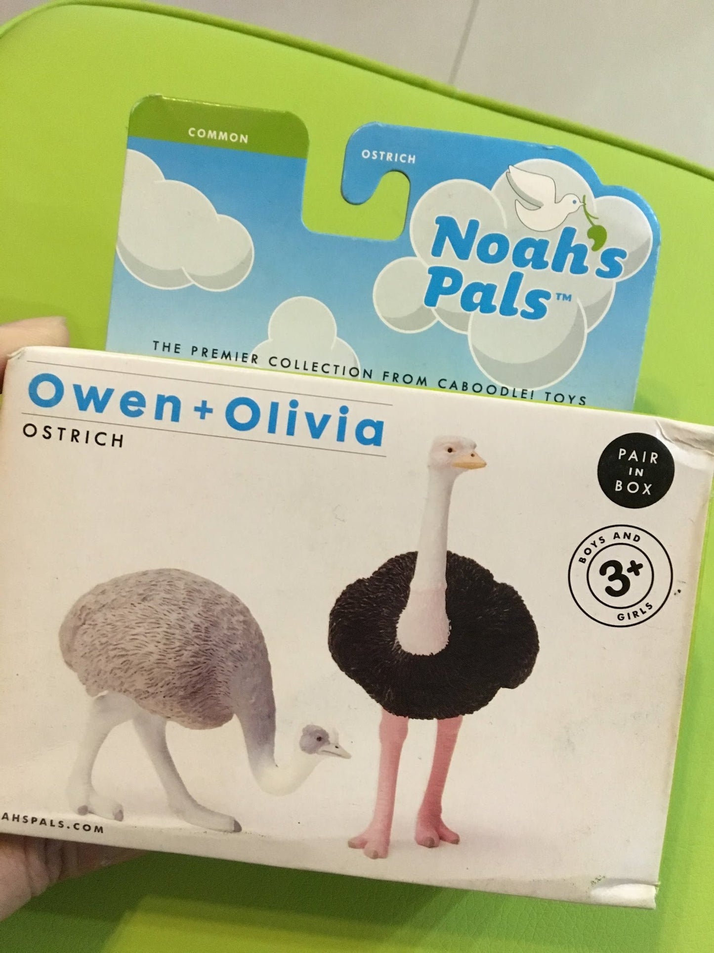 NOAH'S PALS Owen+Olivia OSTRICH Bird  Animal PVC figurine figure Model pair in box