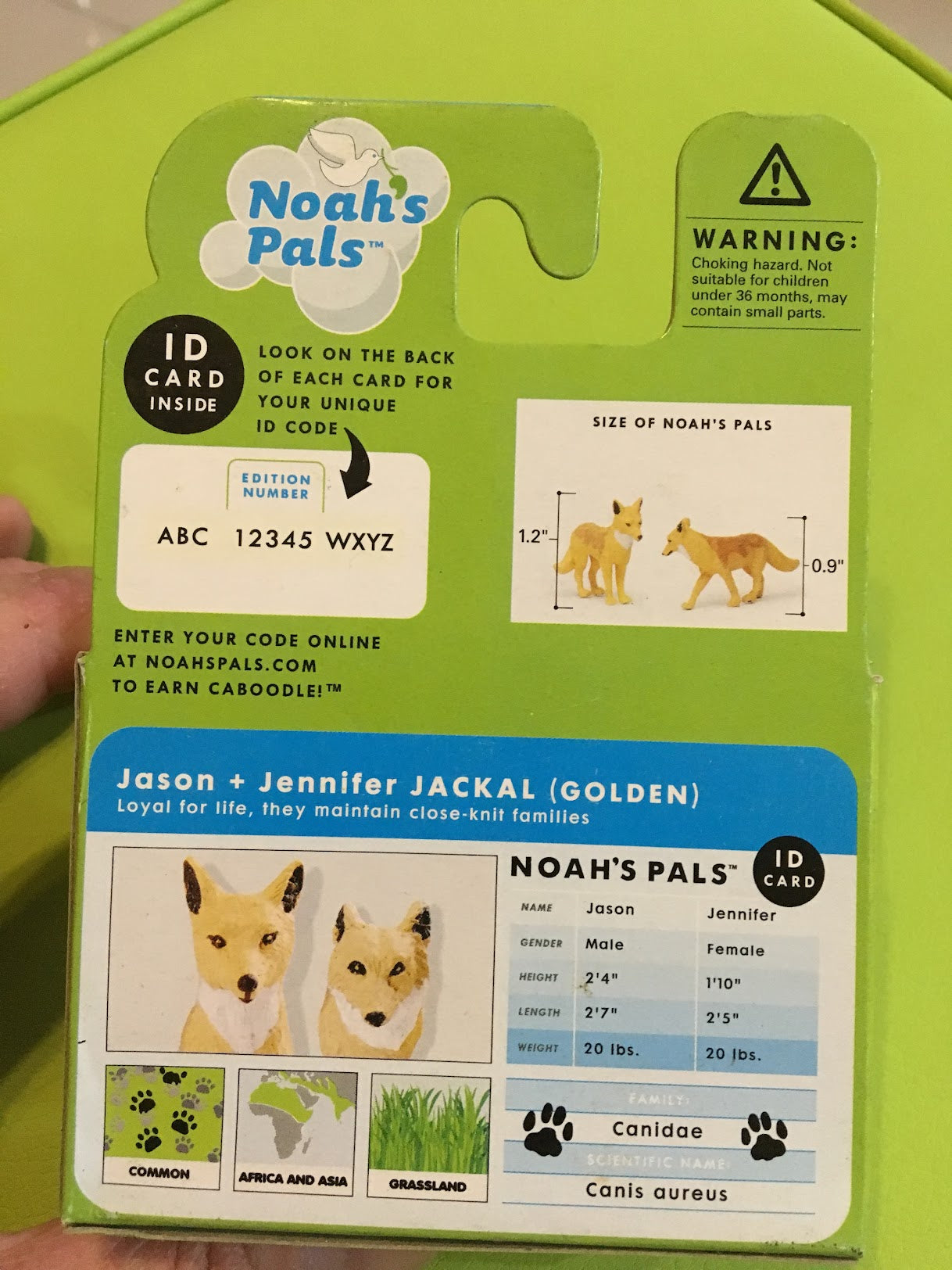 NOAH'S PALS JACKAL (GOLDEN) Animal PVC figurine figure Model pair in box