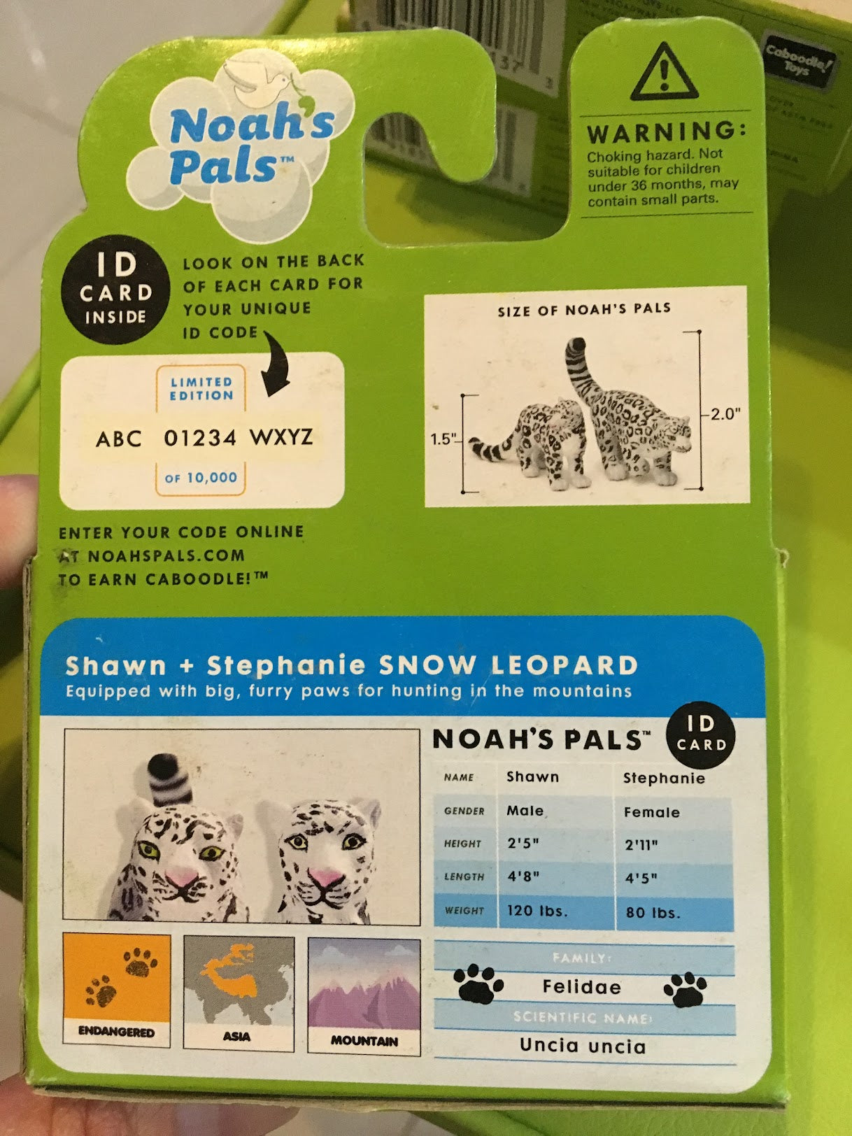 NOAH'S PALS Snow Leopard Animal PVC figurine figure Model pair in box