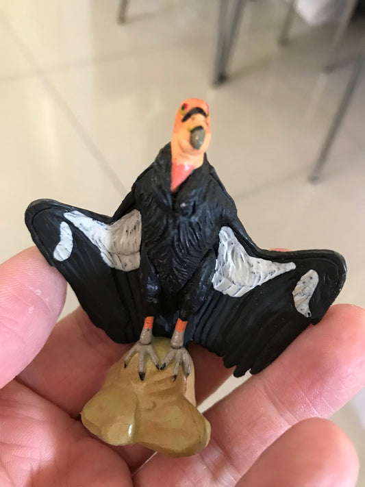 Retired Japan Kaiyodo Endangered Specie  California condor Eagle bird  PVC Mini Model Figure