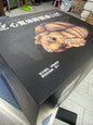 For customer Kittipan (Animal Planet Tortoise）
