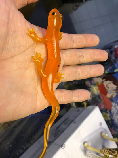 Rare Safari SurfaceWorks Orange Salamander newt (Translucent) PVC mini Figure model figurine