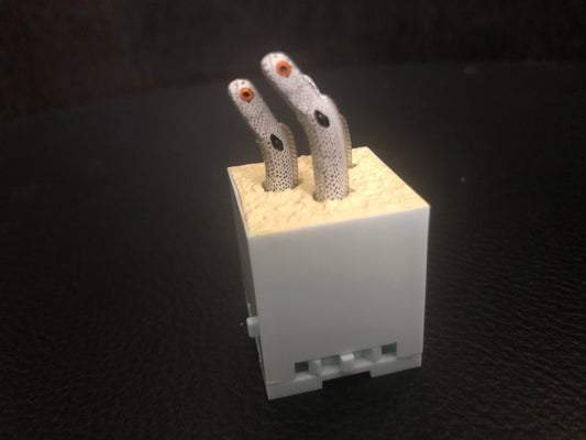 Retired Japan Kitan Club Garden Eel Fish PVC Mini Figure Figurine Model Capsule C