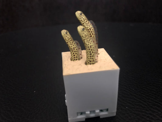 Retired Japan Kitan Club Garden Eel Fish PVC Mini Figure Figurine Model Capsule A