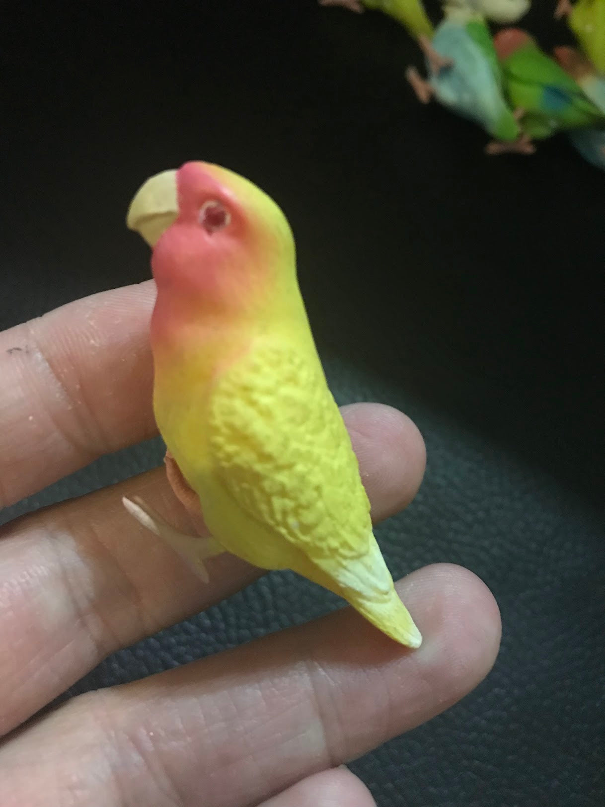 Japan SHINE Love Bird Parrot PVC mini figure figurine Model A