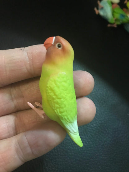 Japan SHINE Love Bird Parrot PVC mini figure figurine Model B
