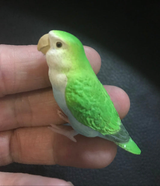 Japan SHINE Love Bird Parrot PVC mini figure figurine Model C