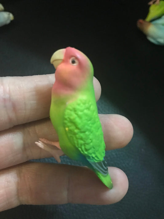 Japan SHINE Love Bird Parrot PVC mini figure figurine Model D
