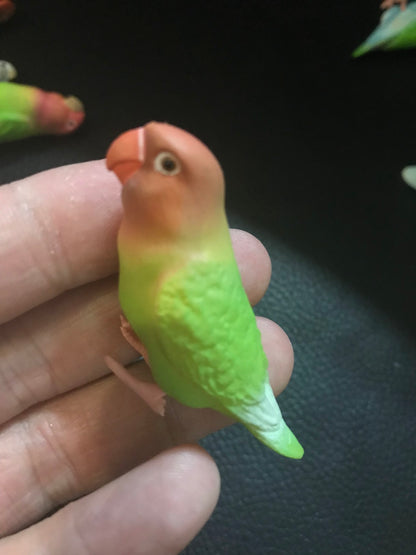 Japan SHINE Love Bird Parrot PVC mini figure figurine Model B