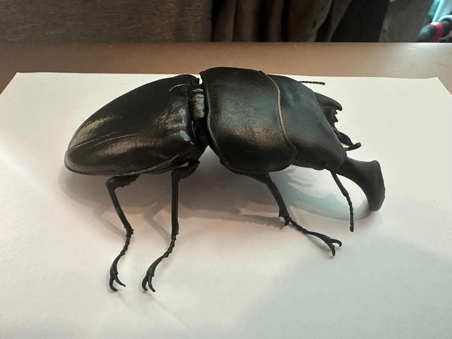 Dorcus bucephalus Ox-Headed Stag Beetle PVC Action Figure model with joints