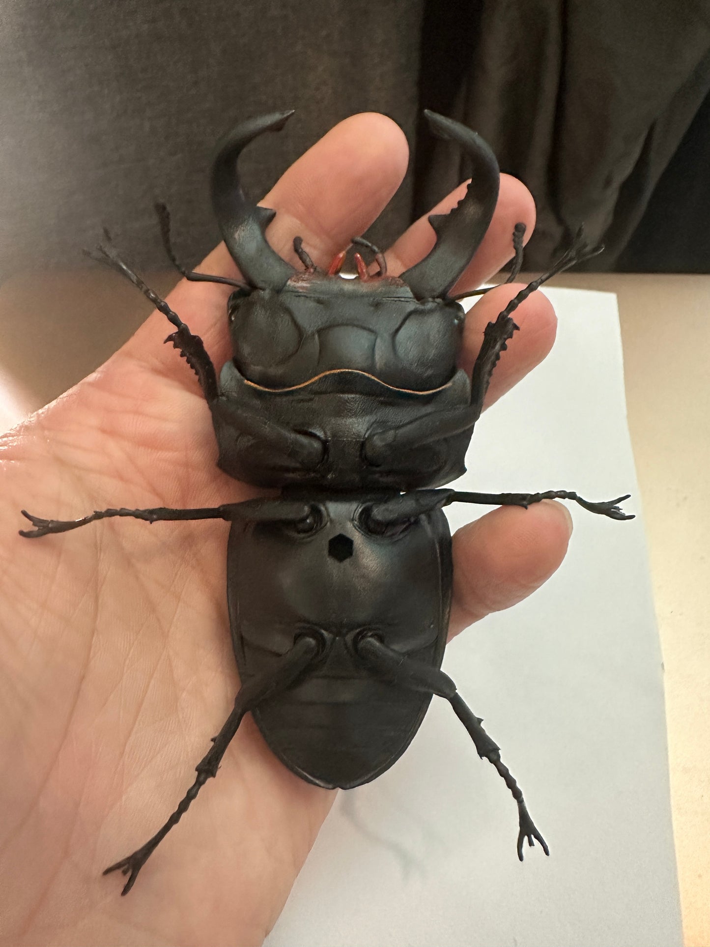 Dorcus bucephalus Ox-Headed Stag Beetle PVC Action Figure model with joints