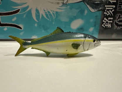 Japan Kaiyodo Aquarium exclusive Yellowtail amberjack fish PVC mini figure figurine Model (no base)