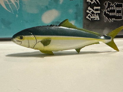 Japan Kaiyodo Aquarium exclusive Yellowtail amberjack fish PVC mini figure figurine Model (no base)