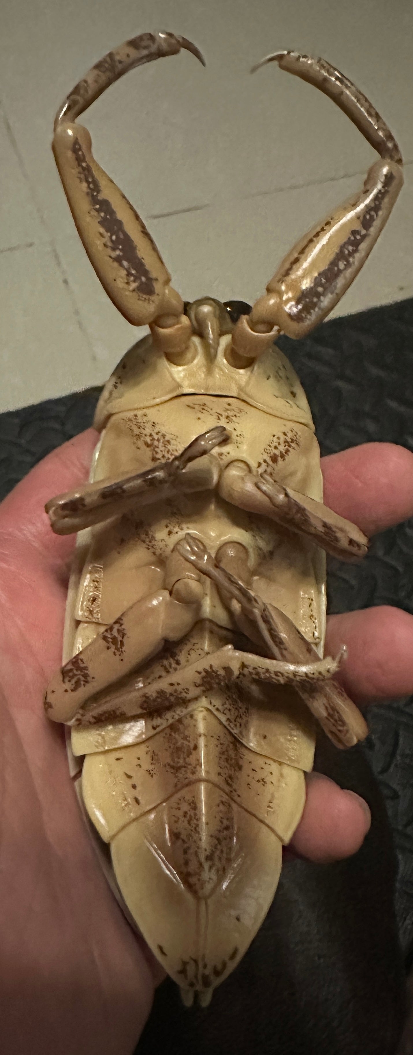 Japan Oriental Giant Water Bug Insect (Light Color)  PVC figurine Figure model with joints