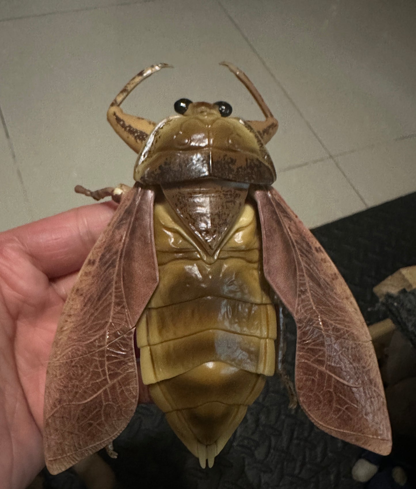 Japan Oriental Giant Water Bug Insect (Light Color)  PVC figurine Figure model with joints