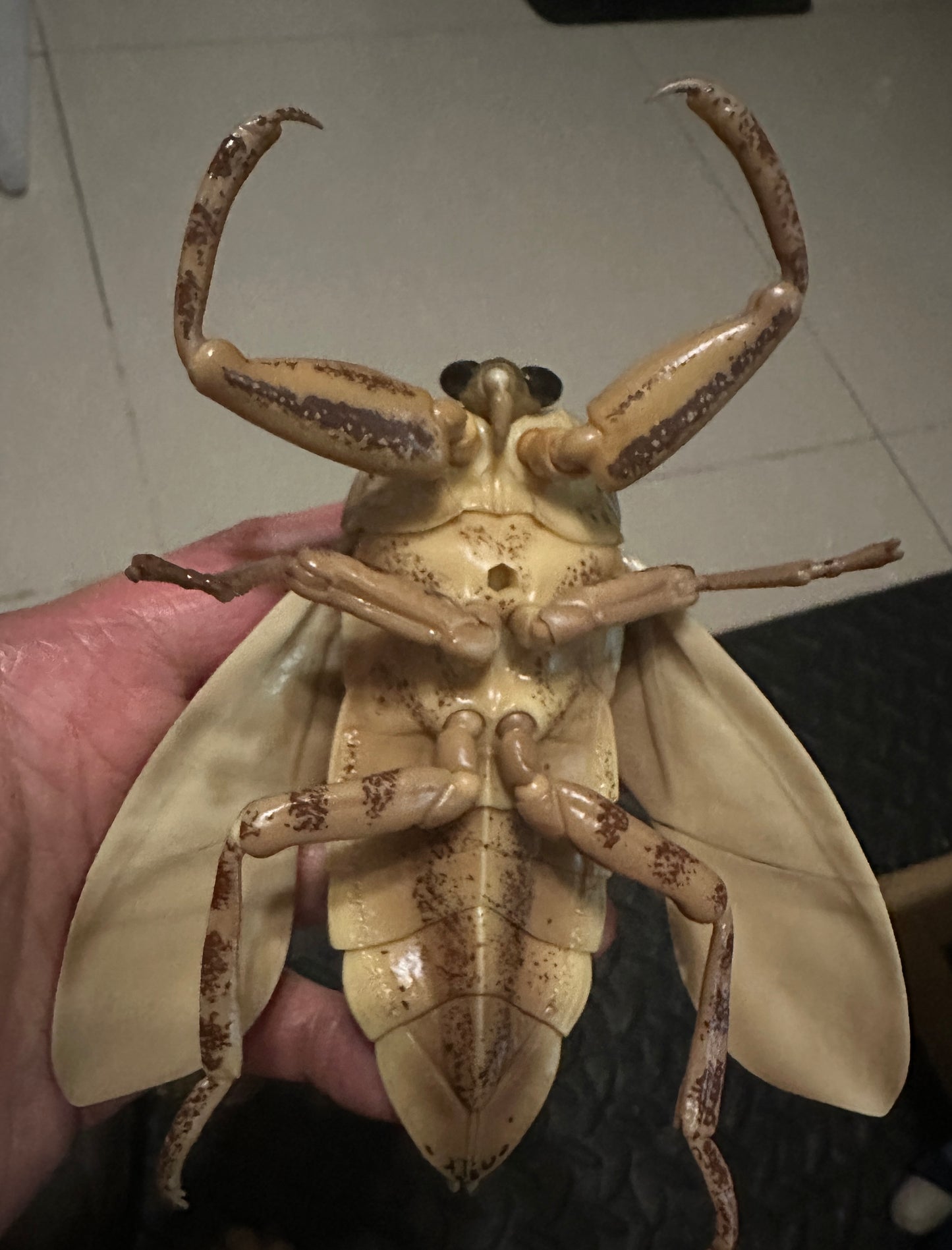 Japan Oriental Giant Water Bug Insect (Light Color)  PVC figurine Figure model with joints