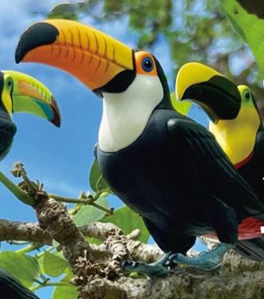 Japan Toco Toucan Bird PVC mini figure model capsule A