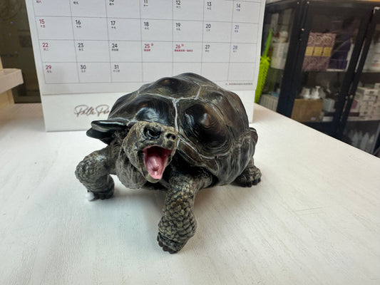 Baby Galápagos Galapagos Giant Land Tortoise Resin Replica Model Figurine 12cm (open mouth)