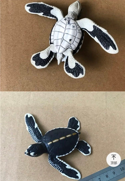 Ogasawara Marine Center exclusive Green Sea Turtle Baby PVC Model Figure Figurine, rare item