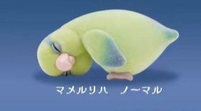 Japan Sleeping Love Bird Parrot PVC mini figure figurine Model B