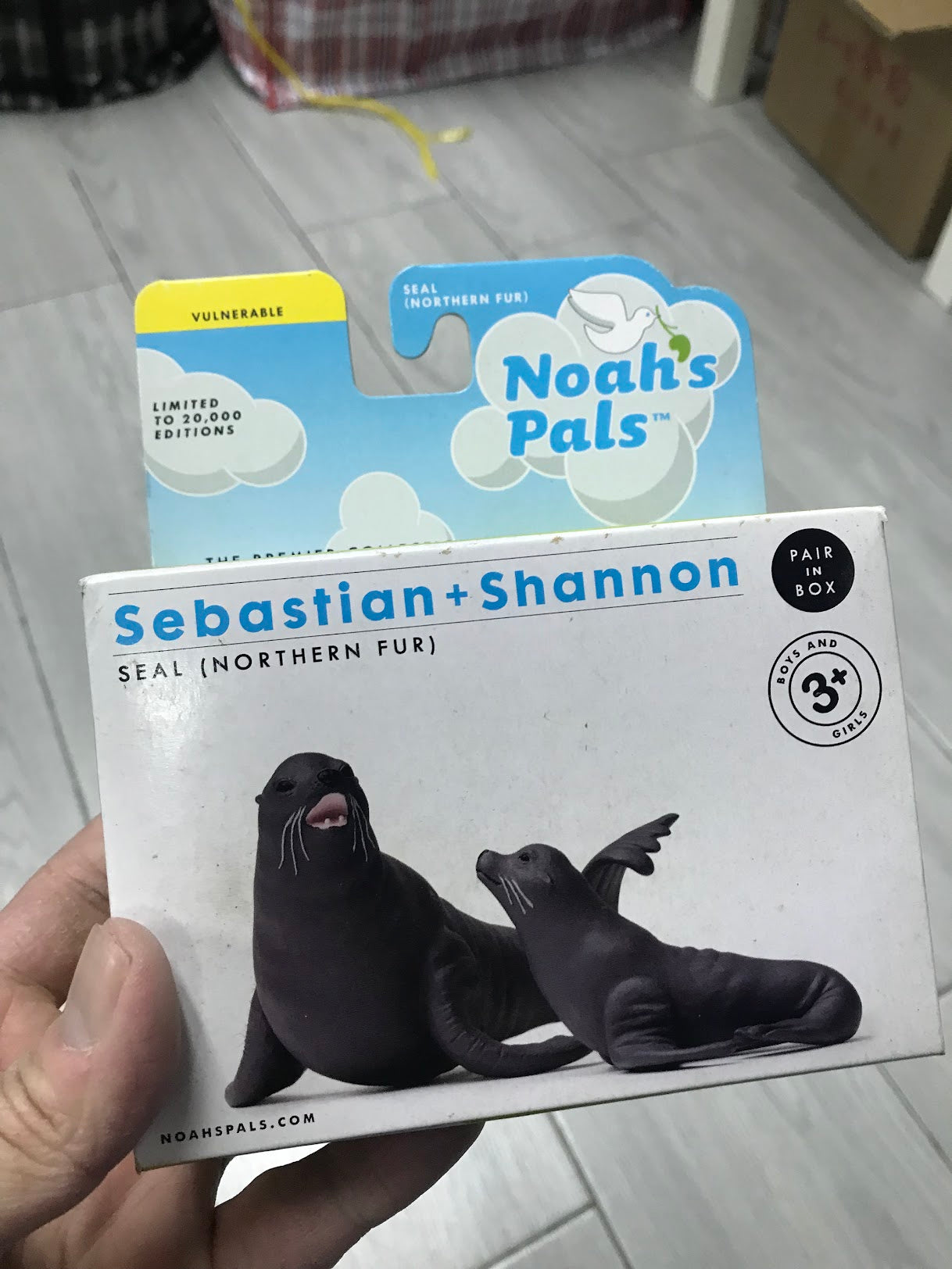 NOAH'S PALS Sebastian+Shannon SEAL (NORTHERN FUR) Animal PVC figurine figure Model pair