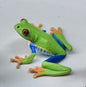 Japan Red Eyed Tree Frog PVC Mini Figure Figurine Model with magnet