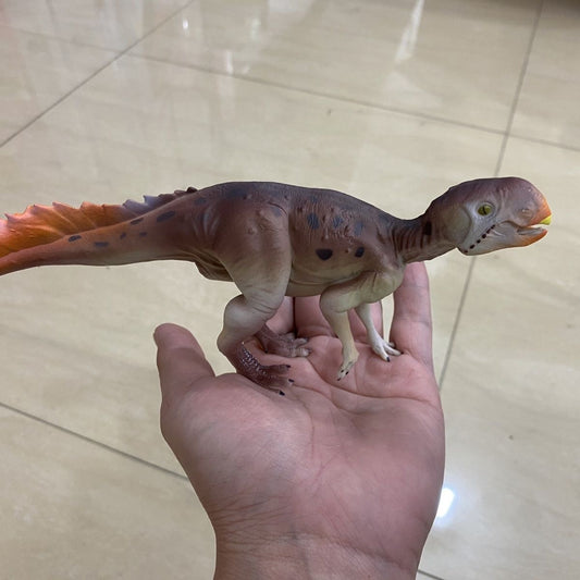 Psittacosaurus Dinosaur PVC Solid Model Figure Figurine