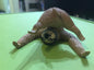 Animal Life Asakuma Toshio roll one's eyes Animal Sloth PVC Mini Figurine Figure Model