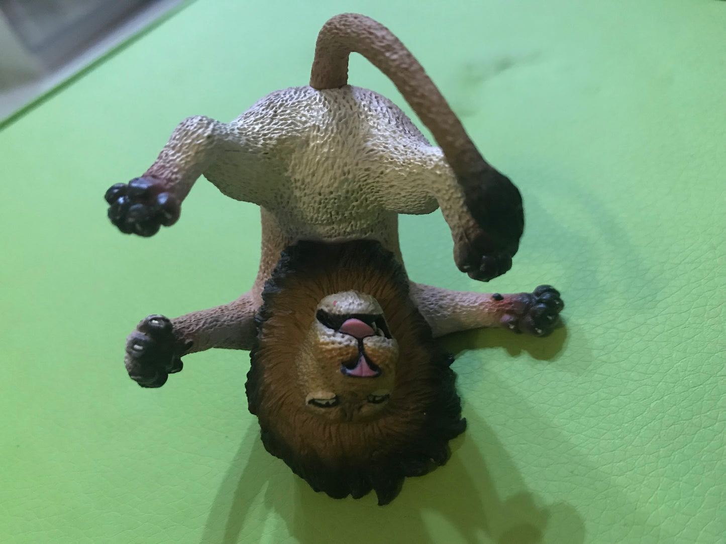 Animal Life Asakuma Toshio roll one's eyes Animal Lion PVC Mini Figurine Figure Model
