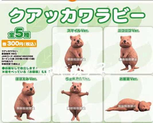 Retired Japan Quokka Kangaroo animal PVC Mini Figure Figurine Model