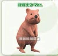 Retired Japan Quokka Kangaroo animal PVC Mini Figure Figurine Model