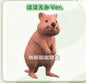 Retired Japan Quokka Kangaroo animal PVC Mini Figure Figurine Model