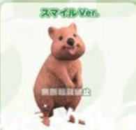 Retired Japan Quokka Kangaroo animal PVC Mini Figure Figurine Model