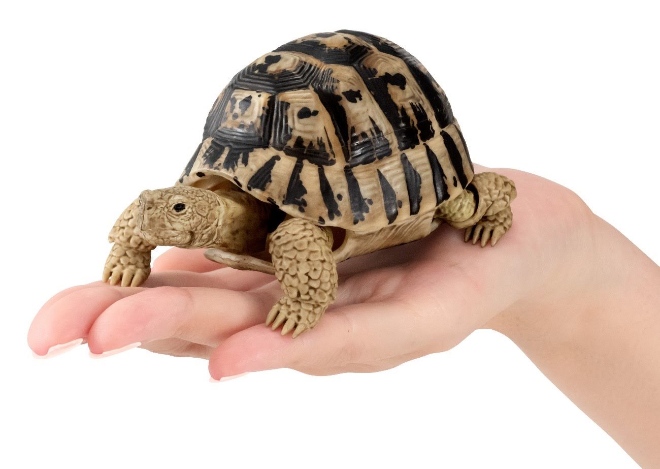 Retired Greek Tortoise Turtle animal PVC Action Figure model with joints