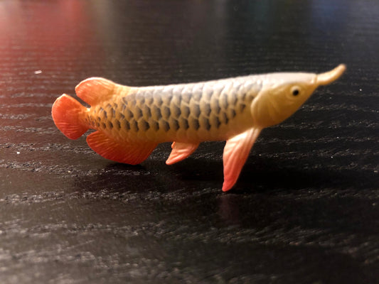 Japan Golden Asian Arowana ancient fish animal PVC mini Figure Model Figurine