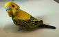 Japan Parakeet Cockatoo Parrot Birdaction & Magnet PVC mini Figurine Figure Model A