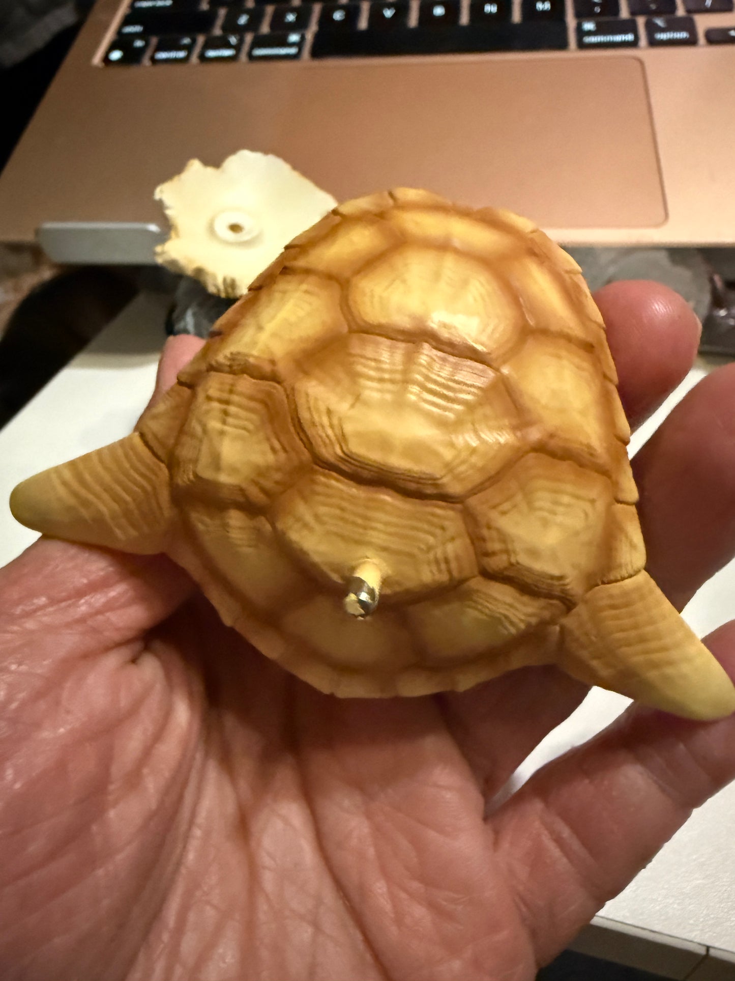 Super Q SINEMYS GAMERA prehistoric turtle Resin Replica Model Figurine Figure
