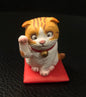 Kaiyodo Ginger & White Scottish Fold Luck Cat Gashapon mini PVC figurine figure model