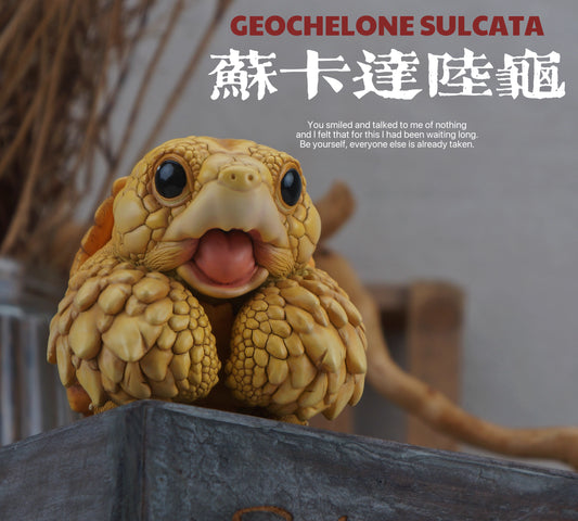 Super Q African Sulcata tortoise turtle Resin Replica Model Figurine Figure (Pre-order)