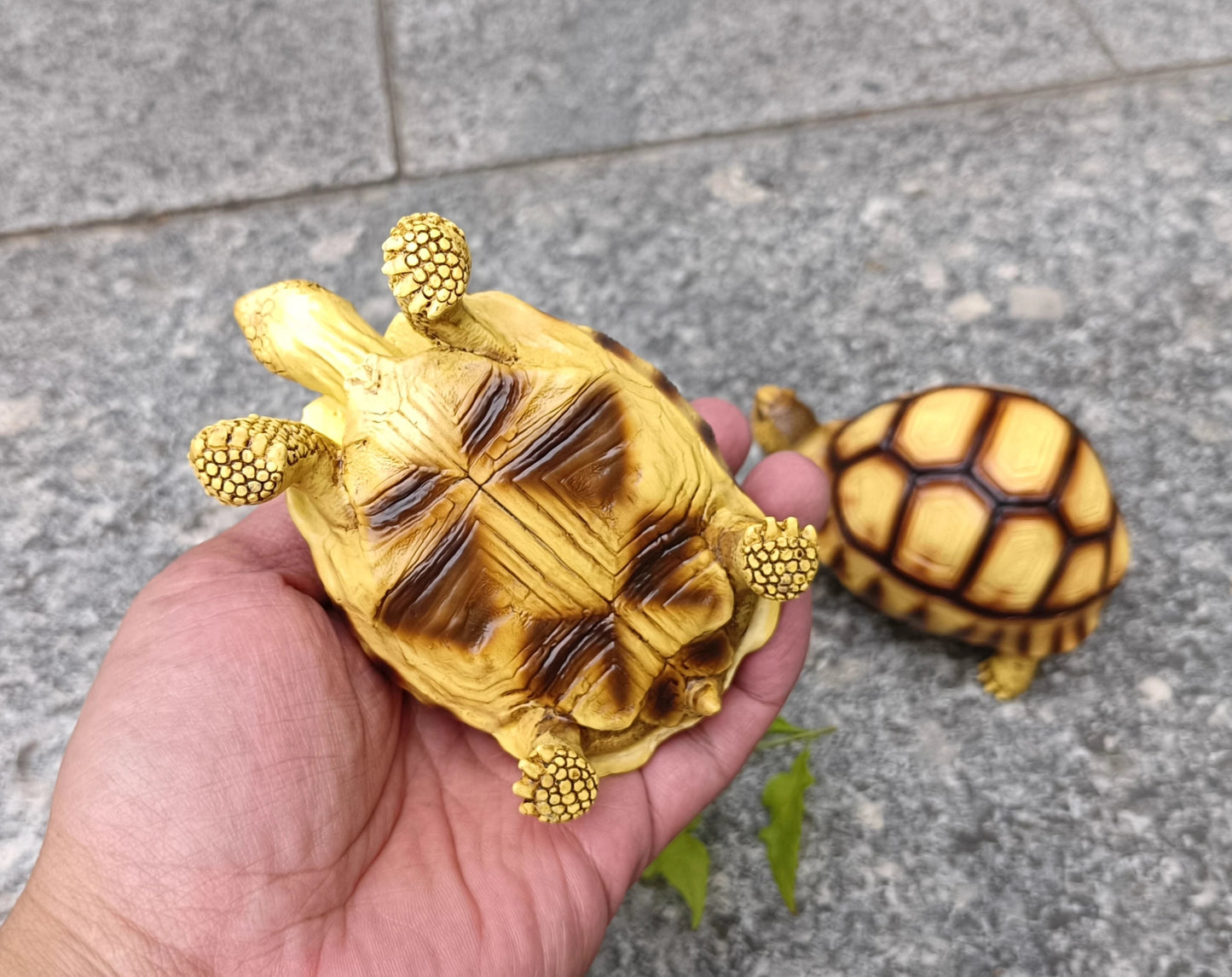 Angonoka Tortoise Resin Replica Figure Model Figurine 11.5cm 2024