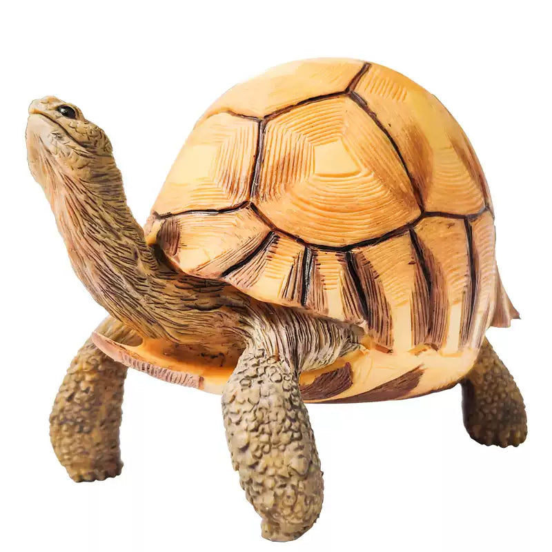 Angonoka Tortoise Resin Replica Model Figurine Figure 10cm+-