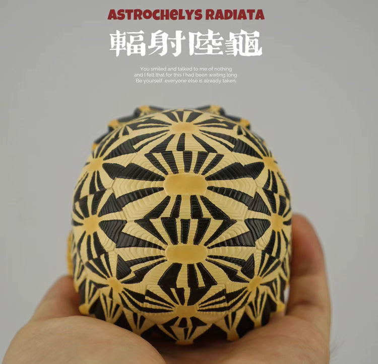 Super Q Radiated tortoise turtle Resin Replica Model Figurine Figure (pre-order)
